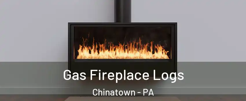 Gas Fireplace Logs Chinatown - PA