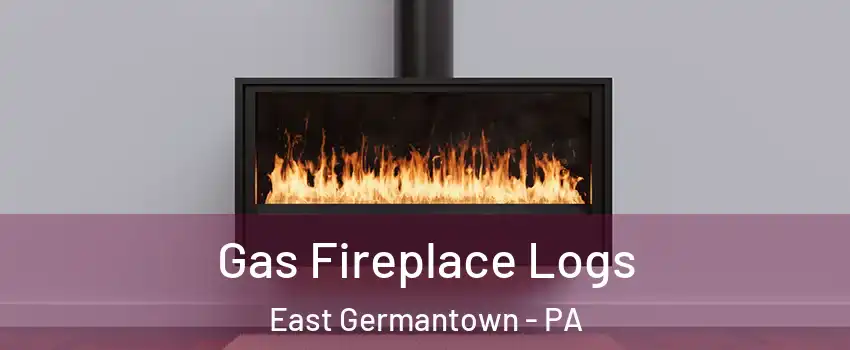 Gas Fireplace Logs East Germantown - PA