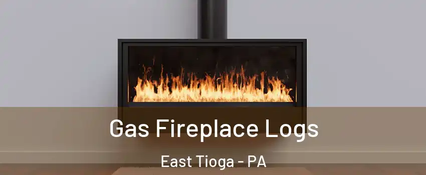 Gas Fireplace Logs East Tioga - PA