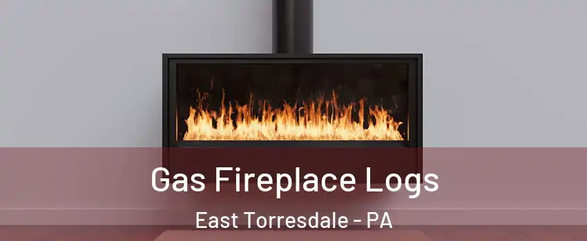 Gas Fireplace Logs East Torresdale - PA