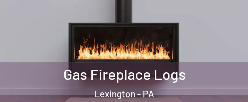 Gas Fireplace Logs Lexington - PA