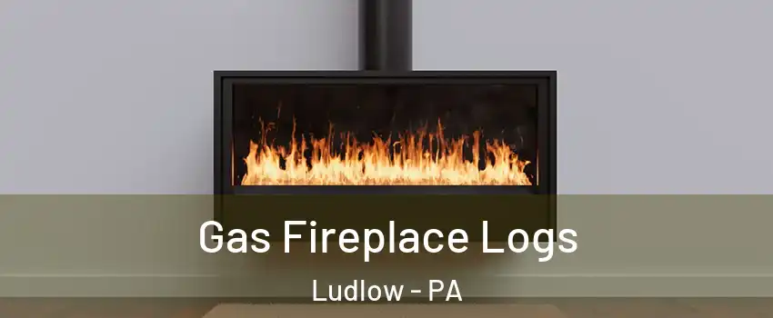 Gas Fireplace Logs Ludlow - PA