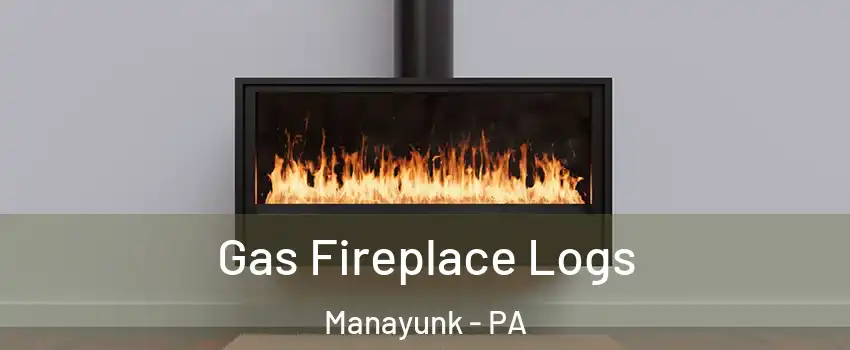 Gas Fireplace Logs Manayunk - PA