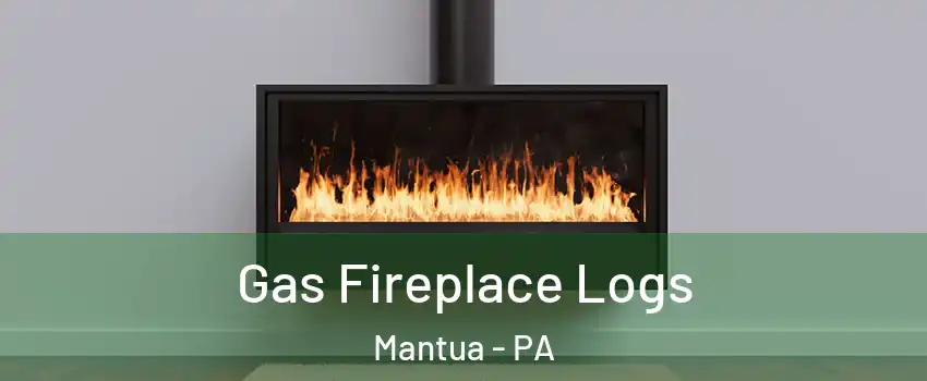 Gas Fireplace Logs Mantua - PA