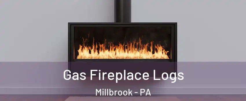 Gas Fireplace Logs Millbrook - PA