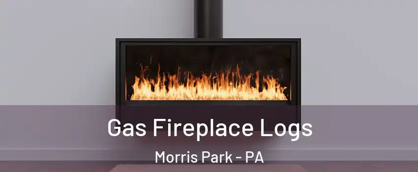 Gas Fireplace Logs Morris Park - PA