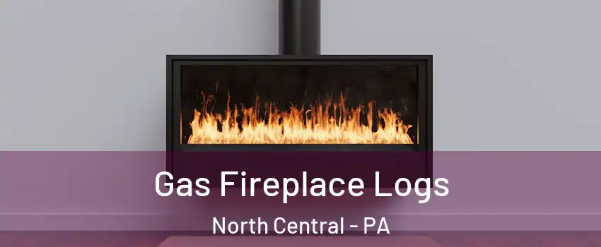Gas Fireplace Logs North Central - PA