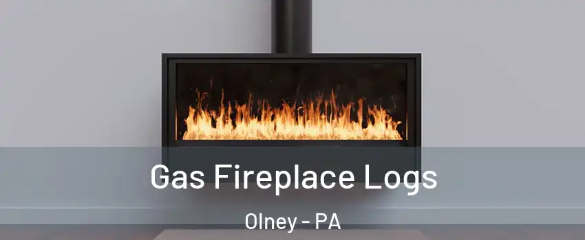 Gas Fireplace Logs Olney - PA