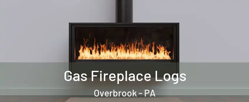 Gas Fireplace Logs Overbrook - PA
