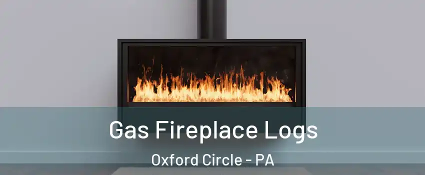 Gas Fireplace Logs Oxford Circle - PA
