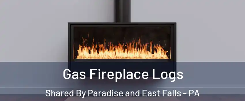 Gas Fireplace Logs Shared By Paradise and East Falls - PA