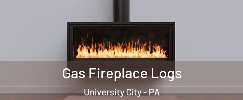Gas Fireplace Logs University City - PA