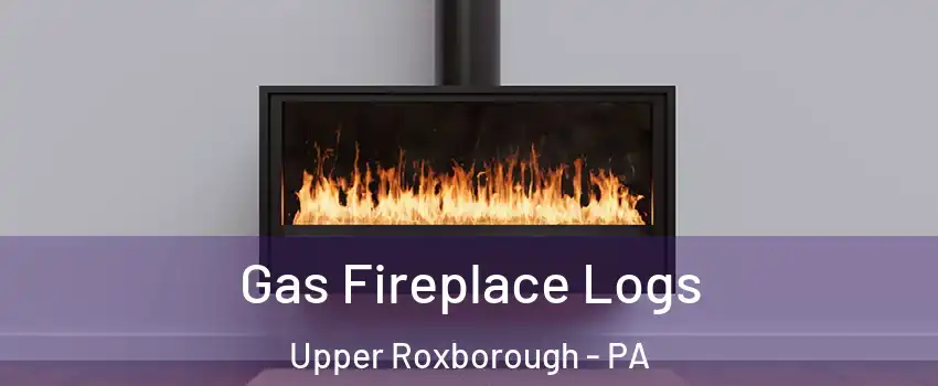 Gas Fireplace Logs Upper Roxborough - PA