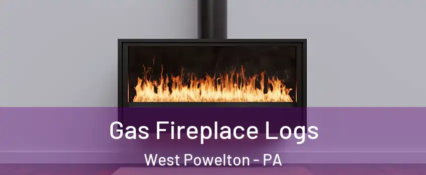 Gas Fireplace Logs West Powelton - PA