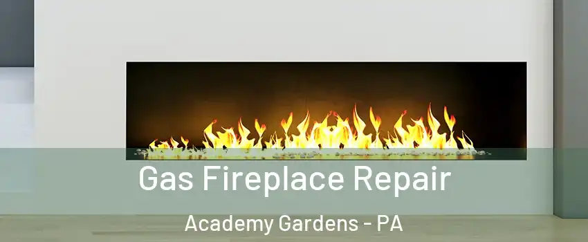 Gas Fireplace Repair Academy Gardens - PA