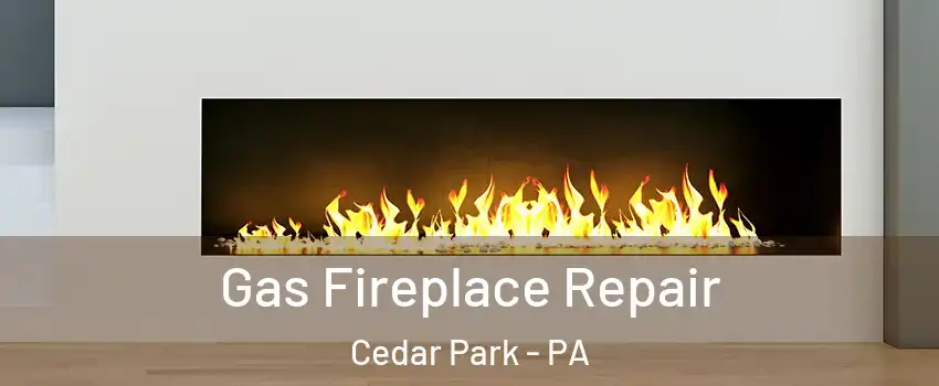 Gas Fireplace Repair Cedar Park - PA
