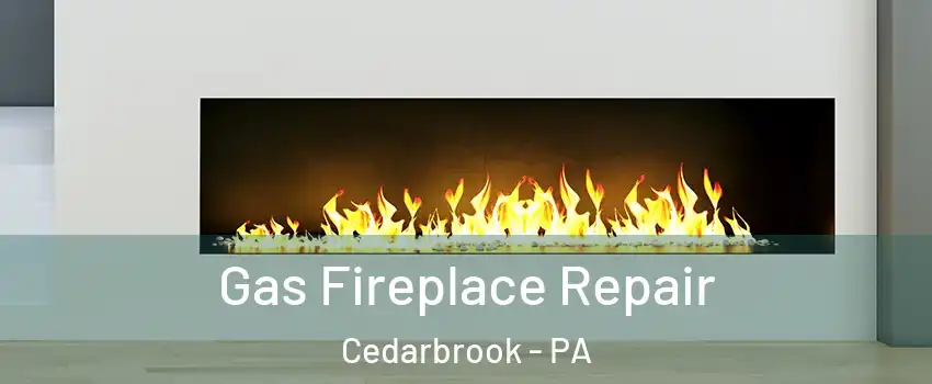 Gas Fireplace Repair Cedarbrook - PA