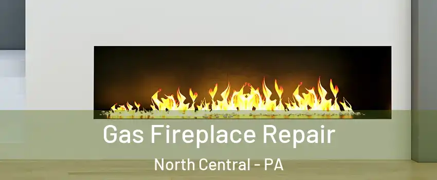 Gas Fireplace Repair North Central - PA