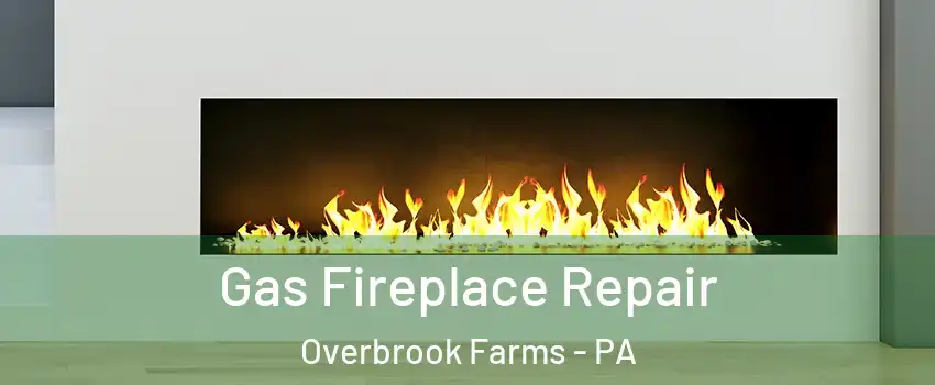Gas Fireplace Repair Overbrook Farms - PA