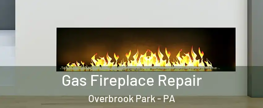 Gas Fireplace Repair Overbrook Park - PA