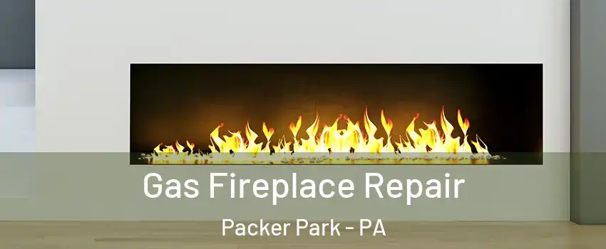 Gas Fireplace Repair Packer Park - PA