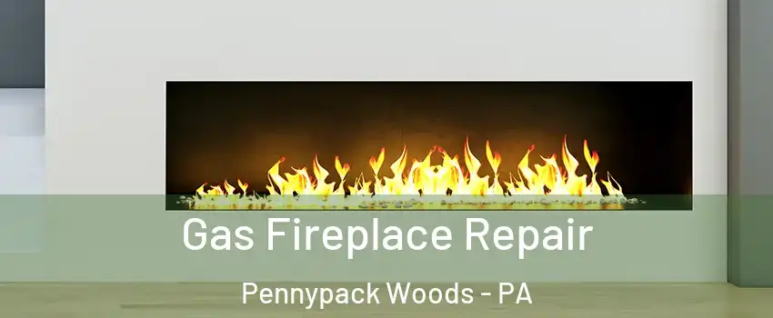 Gas Fireplace Repair Pennypack Woods - PA