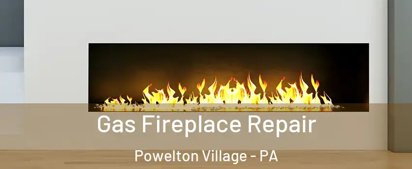 Gas Fireplace Repair Powelton Village - PA