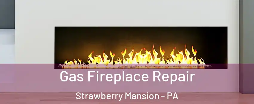 Gas Fireplace Repair Strawberry Mansion - PA