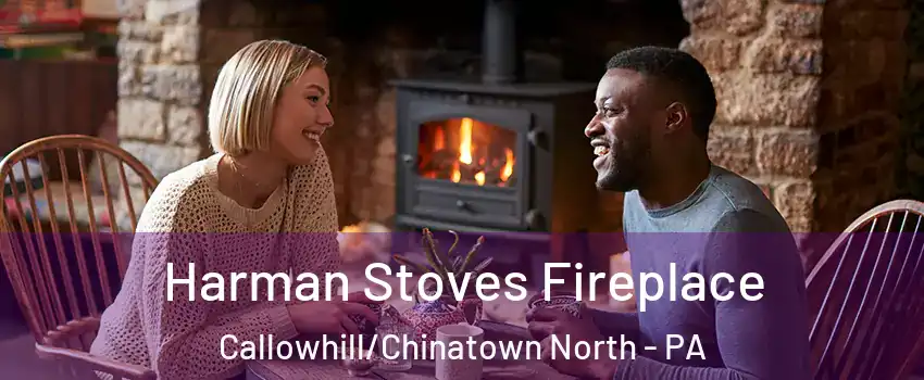 Harman Stoves Fireplace Callowhill/Chinatown North - PA
