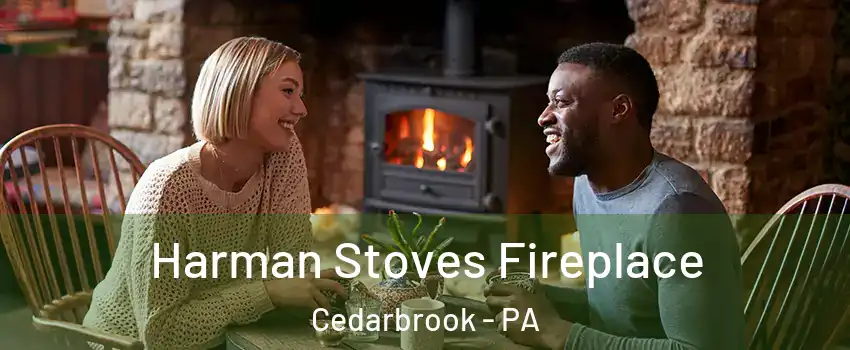 Harman Stoves Fireplace Cedarbrook - PA