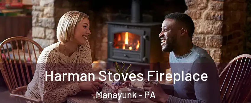 Harman Stoves Fireplace Manayunk - PA