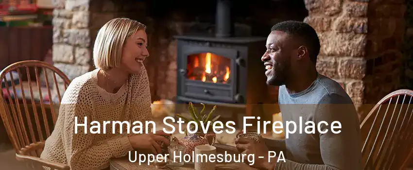 Harman Stoves Fireplace Upper Holmesburg - PA
