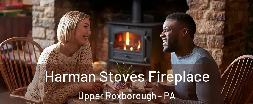 Harman Stoves Fireplace Upper Roxborough - PA