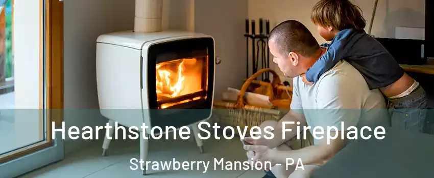 Hearthstone Stoves Fireplace Strawberry Mansion - PA