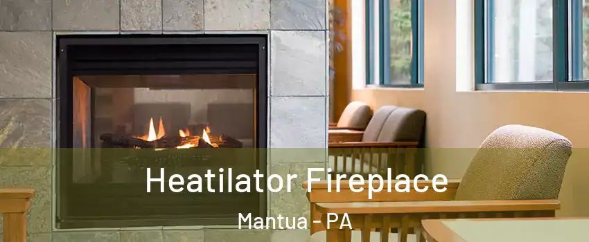 Heatilator Fireplace Mantua - PA