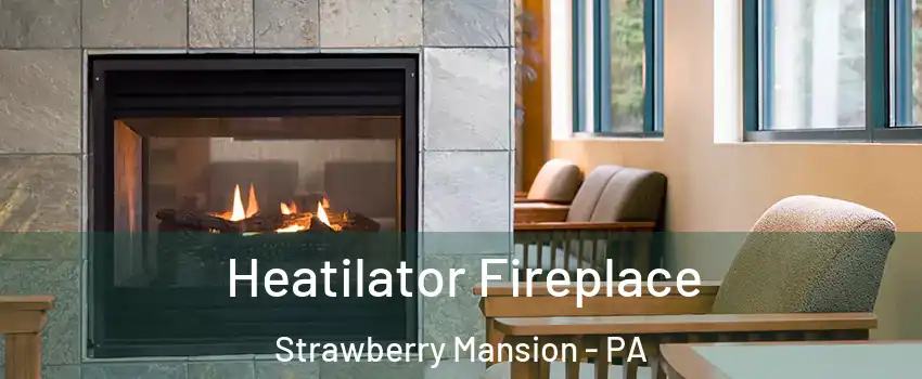 Heatilator Fireplace Strawberry Mansion - PA