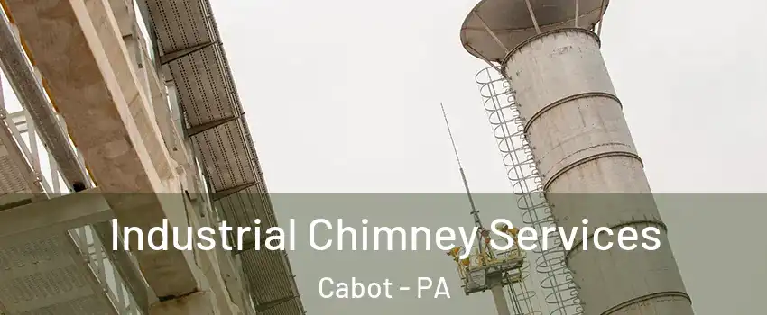 Industrial Chimney Services Cabot - PA