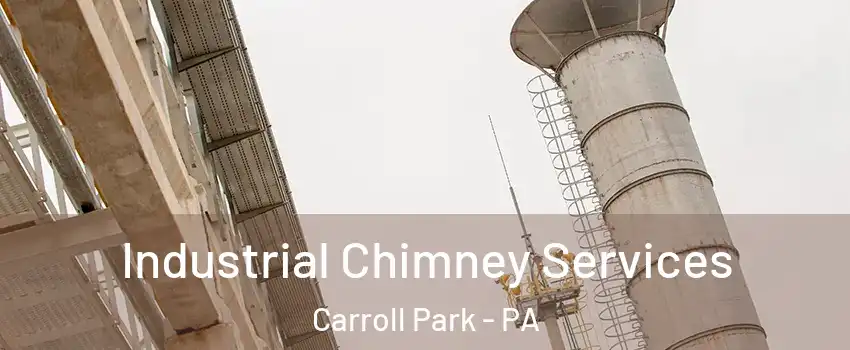Industrial Chimney Services Carroll Park - PA