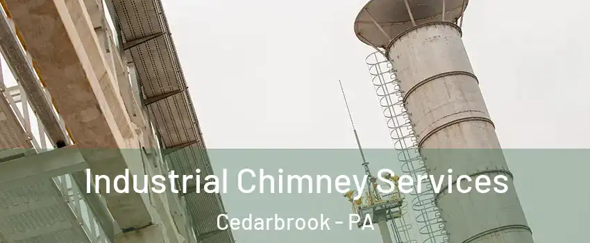Industrial Chimney Services Cedarbrook - PA
