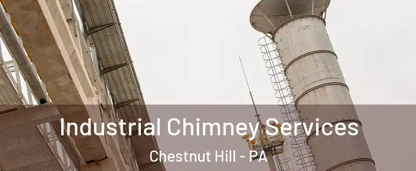 Industrial Chimney Services Chestnut Hill - PA