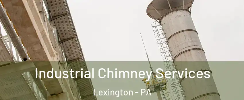 Industrial Chimney Services Lexington - PA