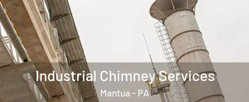 Industrial Chimney Services Mantua - PA