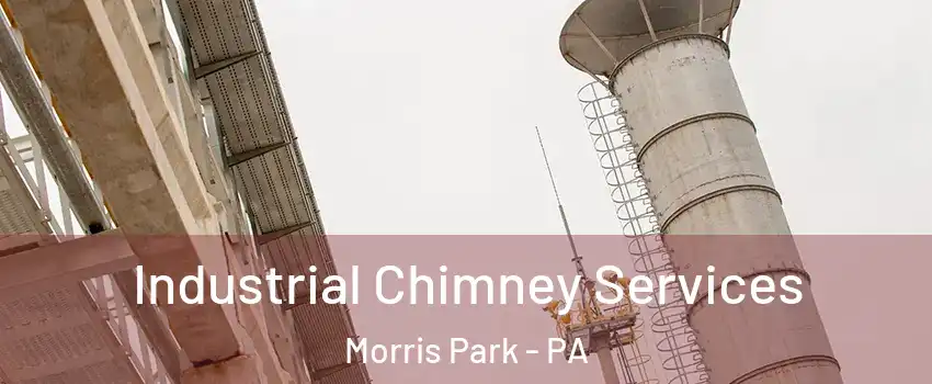 Industrial Chimney Services Morris Park - PA