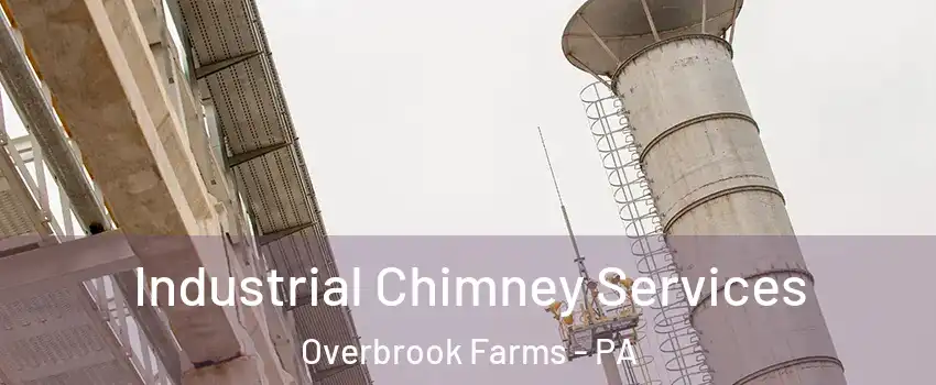 Industrial Chimney Services Overbrook Farms - PA