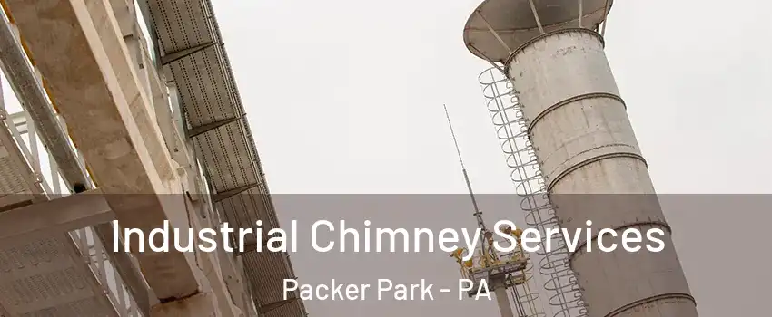 Industrial Chimney Services Packer Park - PA