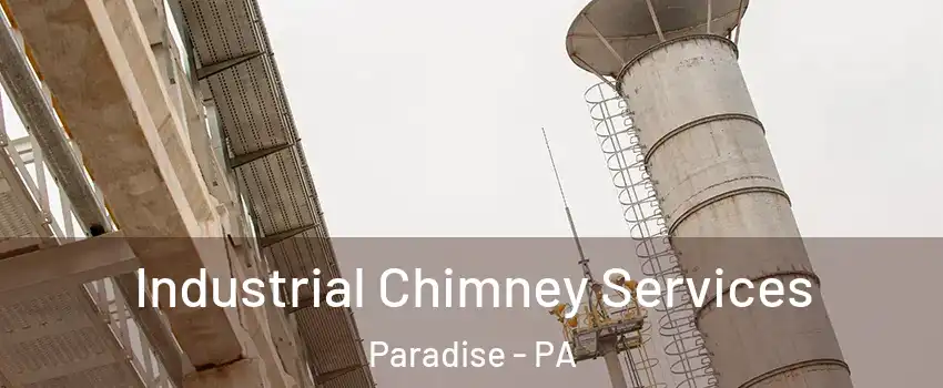 Industrial Chimney Services Paradise - PA