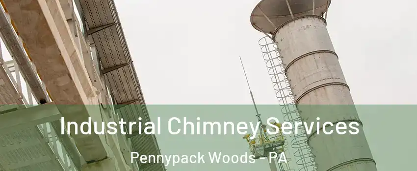 Industrial Chimney Services Pennypack Woods - PA