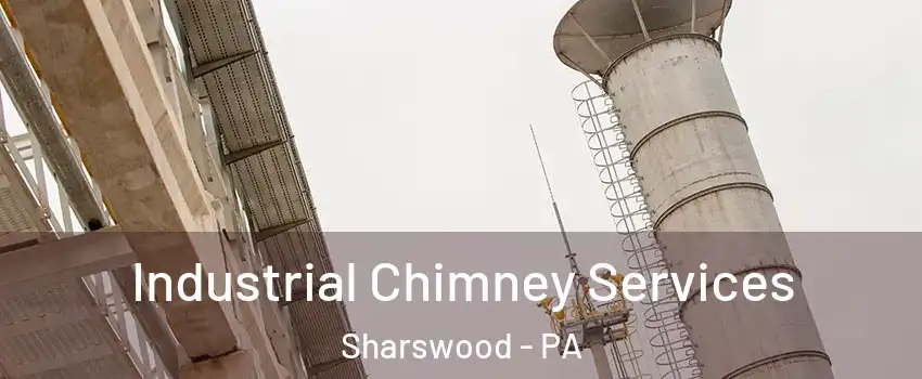 Industrial Chimney Services Sharswood - PA