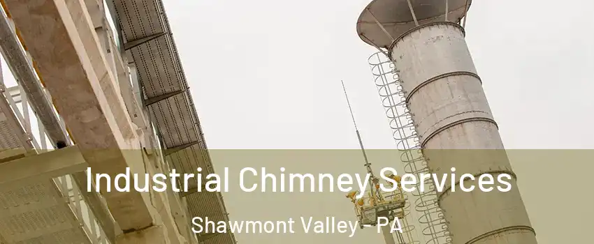 Industrial Chimney Services Shawmont Valley - PA