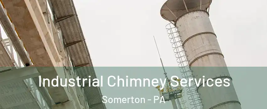 Industrial Chimney Services Somerton - PA